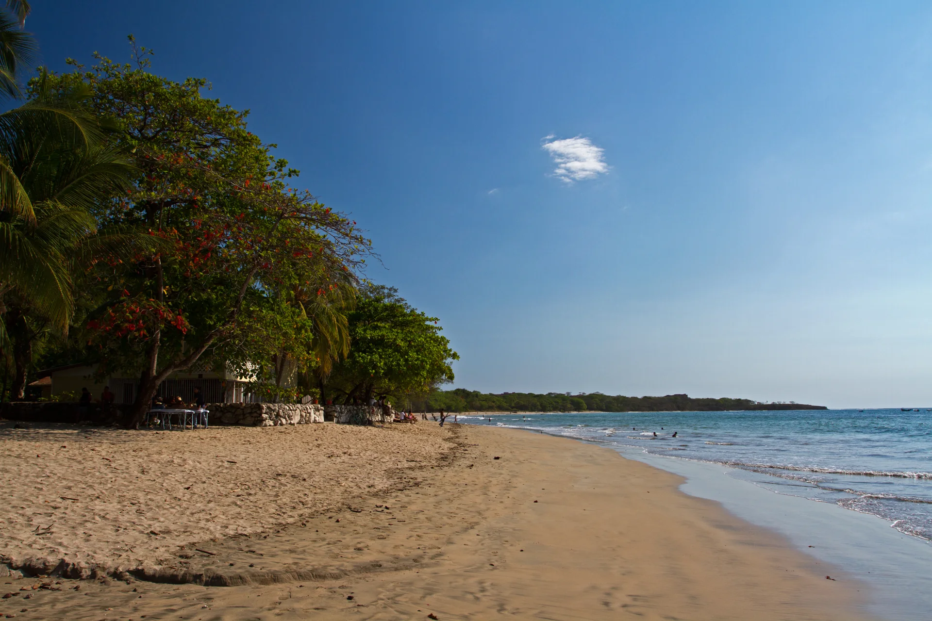 Tamarindo beach with trees along the shore and the Pacific Ocean