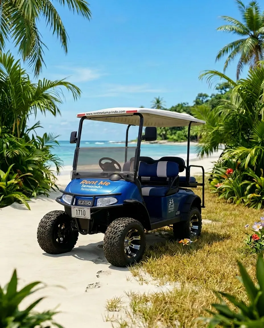 Golf Carts