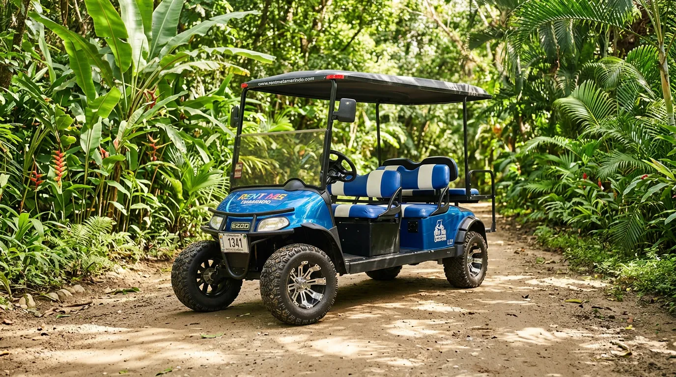 Lifted 6-Seater Electric
