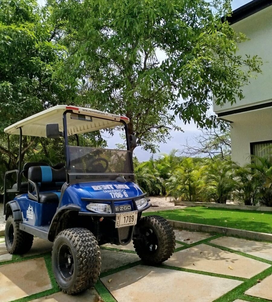 Foto seleccionada (21)